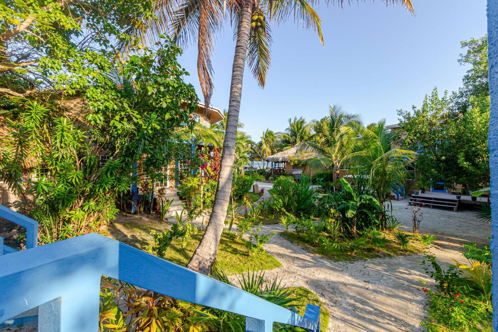 White Sands Cove San Pedro  Zimmer foto